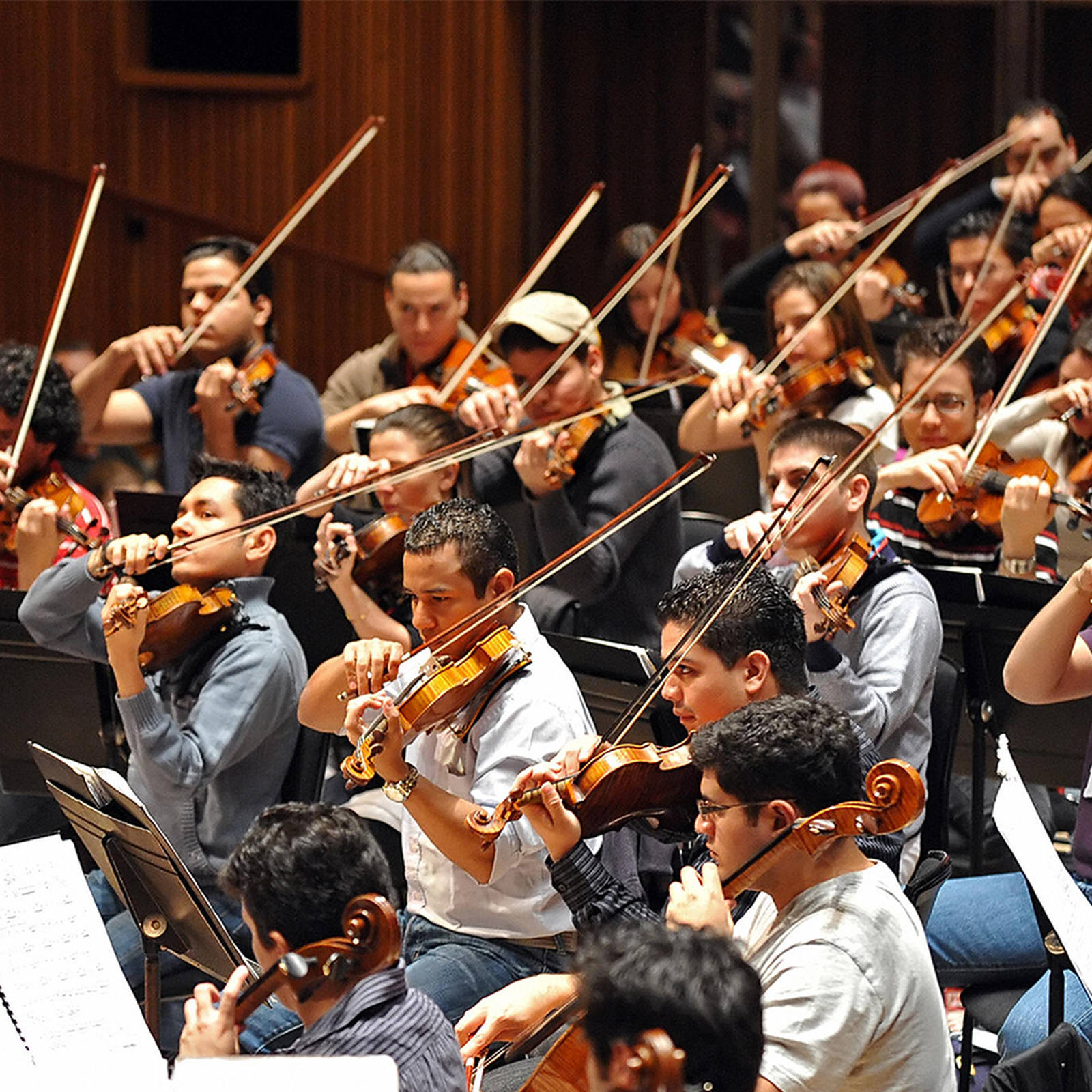 The Role of an Orchestra Conductor: A Guide for Music Students